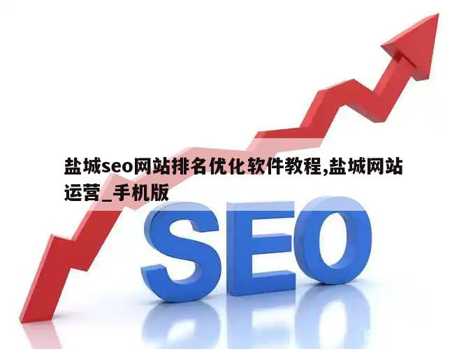 盐城seo网站排名优化软件教程,盐城网站运营_手机版